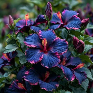 Гибискус Голден Глоу купить по цене от 259р. в интернет-магазине «Посадика» с доставкой почтой в в Веневе и по всей России – [изображение №1].