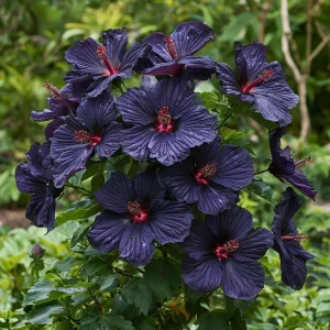 Гибискус Мэджик Момент купить по цене от 699р. в интернет-магазине «Посадика» с доставкой почтой в в Веневе и по всей России – [изображение №1].